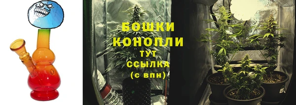 сатива Абаза